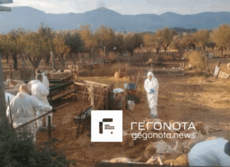 Μαζικές θανατώσεις ζώων για την ευλογιά στην Μαγνησία – Σύσκεψη συγκαλεί ο Κουρέτας στην Λάρισα