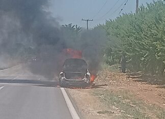 Στάχτη έγινε αυτοκίνητο στον δρόμο Ελασσόνας – Τυρνάβου: Η φωτιά επεκτάθηκε λόγω εκρήξεων – Απειλήθηκε κτηνοτροφική μονάδα (ΦΩΤΟ)