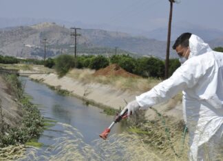 Λάρισα: Πολλά τα κρούσματα από τον Ιό του Δυτικού Νείλου – Δείτε νούμερα