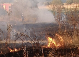 Φωτιά σε χωριό της Ελασσόνας προξένησε ζημιές (ΦΩΤΟ)
