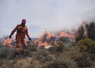 Λάρισα: Συναγερμός για φωτιά στη Γιάννουλη – Σπεύδει η Πυροσβεστική