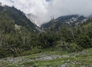 Όλυμπος: Ολοκληρώθηκε η επιχείρηση διάσωσης του τραυματισμένου ορειβάτη – Παρελήφθη από ασθενοφόρο