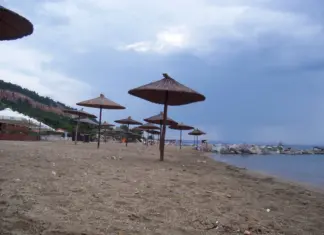 Γυναίκα παρά λίγο να πνιγεί – Σώθηκε χάρη στην επέμβαση δασωστών και ναυαγοσώστη