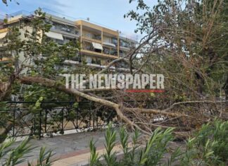 Εικόνες σοκ αντίκρισαν οι Βολιώτες σήμερα το πρωί – Οι ισχυροί άνεμοι έριξαν δεκάδες δέντρα στην πόλη (εικόνες)