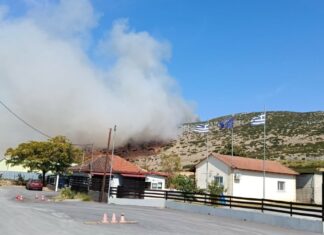 Λάρισα: Συναγερμός σττην Πυροσβεστική για μεγάλη πυρκαγιά στα Φάρσαλα – ΦΩΤΟ