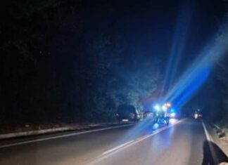 Παραλίγο τραγωδία έξω απ΄την Λάρισα: Αυτοκίνητο τράκαρε με αγριογούρουνο