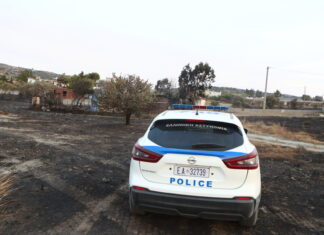 Αγνοείται κτηνοτρόφος στη Μαγνησία μετά από απειλή αυτοκτονίας επειδή έσφαξαν το κοπάδι του λόγω ευλογιάς