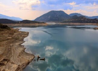 Θεσσαλία: Ενισχύσεις για τις καλλιέργειες που επλήγησαν από τη λειψυδρία ζητούν Συνεταιρισμοί από το Υπουργείο Αγροτικής Ανάπτυξης
