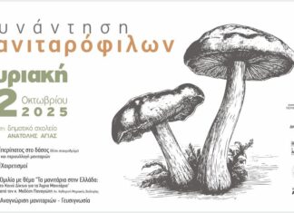 Γιορτή Μανιταριού στην Ανατολή Αγιάς