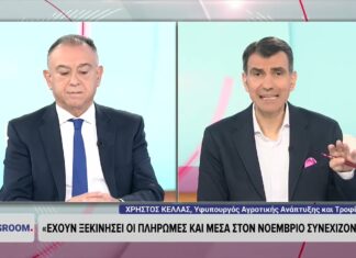 Κέλλας: Δεν υπάρχει εγκεκριμένο εμβόλιο ευλογιάς – Τον Νοέμβριο οι πληρωμές σε αγρότες