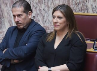 Η Κωνσταντοπούλου αποθεώνει Καραναστάση: Η Πλεύση χάνει τον πιο πολύτιμο πυλώνα της -Είναι η ψυχή, ο ιθύνων νους, ο στρατηγός