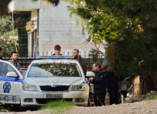 «Δεν μου έδινε να πιω, τσακωθήκαμε και έγινε το κακό» – Τα πρώτα λόγια του 44χρονου αδελφοκτόνου