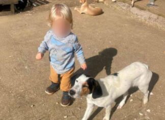Τραγωδία: Αύριο η κηδεία του 2χρονου που σκοτώθηκε από πίτμπουλ