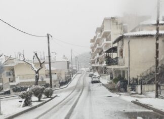 Λάρισα: Στα «λευκά» τα Φάρσαλα και τα χωριά (Φωτογραφίες)