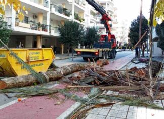 Τρόμος στο κέντρο θεσσαλικής πόλης: Φοίνικας κατέρρευσε και ξήλωσε κολώνα της ΔΕΗ!