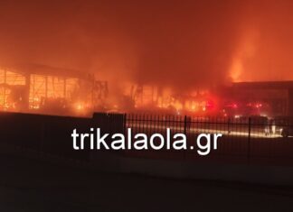 Τρίκαλα: Εντοπίστηκαν 4 νεκρές στα συντρίμμια της «Βιολάντα»