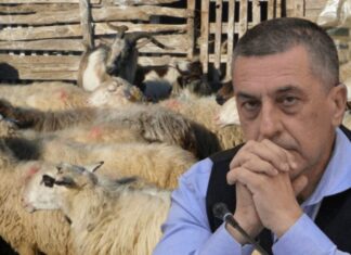 Λάρισα: Σήμα κινδύνου Κουρέτα για την κτηνοτροφία στη Θεσσαλία: «Υπουργέ, μήπως να το ξαναδείτε άμεσα;»