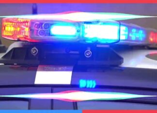Φρίκη: Ακέφαλο πτώμα γυναίκας βρέθηκε σε θάμνους