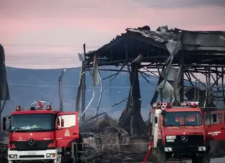 Βιολάντα: Οι 6 λόγοι που οδήγησαν στη σύλληψη του ιδιοκτήτη του εργοστασίου