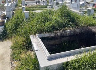 “Ζούγκλα” τάφοι σε νεκροταφείο της Λάρισας – “Εξαφανίζονται” τα μνήματα / ΦΩΤΟ