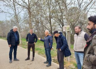 Ο Δήμος Λαρισαίων φυτεύει 700 δέντρα στην κοίτη του Πηνειού – Τι είπε ο Μαμάκος (ΦΩΤΟ)
