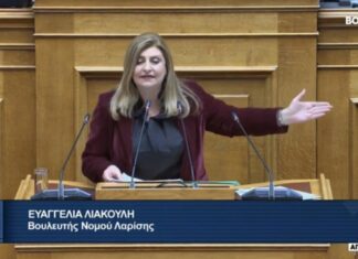 E. Λιακούλη στη Βουλή: «H ακρίβεια ρημάζει το λαό και η Κυβέρνηση επιλέγει να προστατεύσει τους μεγαλοπαρόχους»