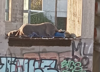 Απίστευτη εικόνα στην Λάρισα – Κοιμάται σε πεζογέφυρα σε επικίνδυνο σημείο… ΦΩΤΟ
