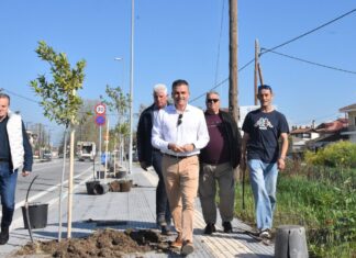 Δήμος Λαρισαίων: Νέα δέντρα στη Φαλάνη – Θ. Μαμάκος: «Συνεχίζουμε τις παρεμβάσεις μας για ενίσχυση του πράσινου αποτυπώματος στην πόλη» (