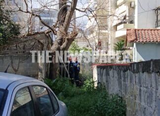 Φωτιά σε σπίτι που διέμενε ηλικιωμένος στην Ανθίμου Γαζή – Από δένδρο ξεκίνησε η πυρκαγιά – Δείτε εικόνες
