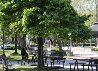 Κηποθέατρο Αλκαζάρ: Το πράσινο καταφύγιο που έγινε η αγαπημένη συνήθεια (ΦΩΤΟ)