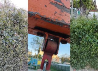 Εικόνες εγκατάλειψης σε ακόμη μια παιδική χαρά της Λάρισας: Παρατημένα χόρτα και φθαρμένες κούνιες – Δείτε φωτογραφίες!
