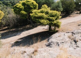 Αιματηρή συμπλοκή με δύο τραυματίες