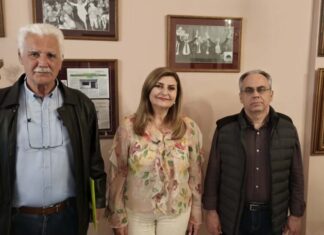 Ευ. Λιακούλη: «Αγωνία κατοίκων για κεραία κινητής τηλεφωνίας στη Νεράιδα – Πρέπει να απαντηθούν επίσημα όλα»
