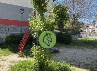 Λάρισα: Άμεσα τα αντανακλαστικά της Δημοτικής Αρχής – Καθαρίστηκε πάρκο στη συνοικία ΑΤΑ έπειτα από ρεπορτάζ του larisanew