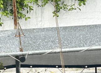 Λάρισα: Δείτε σε ποια περιοχή έριξε χαλάζι