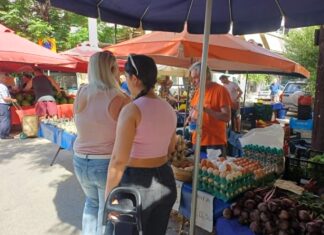 Λάρισα: Η ακρίβεια και η έλλειψη ρευστότητας αλλάζουν καταναλωτικές συνήθειες στους Λαρισαίους στη Λαϊκή – ΦΩΤΟ