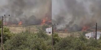 Μεγάλη φωτιά σε εξέλιξη στη χώρα μας – Σορός εντοπίστηκε στην περιοχή