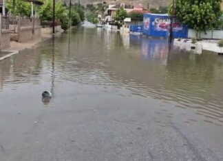 Με την πρώτη βροχή, οι δρόμοι της Φαρκαδόνας πλημμύρισαν ξανά – Αγανάκτηση κατοίκων / ΒΙΝΤΕΟ