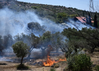 Φωτιά έξω από την πόλη στο ύψος βενζινάδικου – Ισχυρές πυροσβεστικές δυνάμεις στο σημείο!
