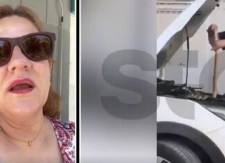 Λάρισα: Πανικός για γυναίκα, βρέθηκε τεράστιο φίδι στην μηχανή του αυτοκινήτου της – Επιχείρηση από την Πυροσβετσική / ΒΙΝΤΕΟ