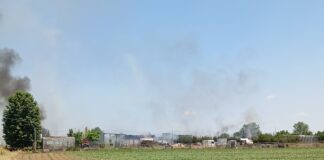 Συναγερμός για φωτιά έξω από την Λάρισα – Απείλησε κτίσματα – ΦΩΤΟ / ΒΙΝΤΕΟ