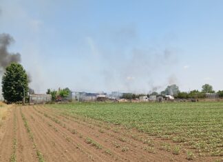 Συναγερμός για φωτιά έξω από την Λάρισα – Απείλησε κτίσματα – ΦΩΤΟ / ΒΙΝΤΕΟ