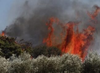 Φωτιά έξω από τη Λάρισα: Στο πόδι η πυροσβεστική