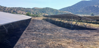 Συναγερμός στη Θεσσαλία: Σκάγια προκάλεσαν φωτιά σε φωτοβολταϊκό!