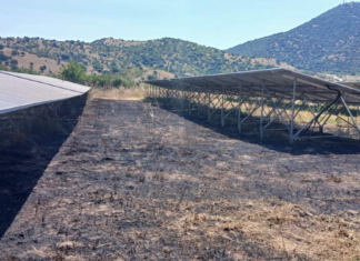 Συναγερμός στη Θεσσαλία: Σκάγια προκάλεσαν φωτιά σε φωτοβολταϊκό!