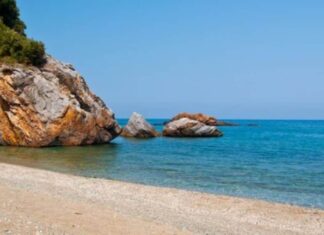 Ψαρόλακας: Ένας κρυμμένος θησαυρός στις ακτές της Λάρισας