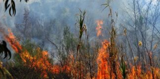 Συναγερμός για φωτιά στο Στεφανοβίκειο – Στο σημείο πυροσβεστικές δυνάμεις