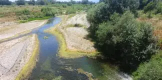 Αποκαρδιωτικές οι εικόνες από τον Πηνειό: Εμφανής η πτώση της ροής του, δείτε εικόνες