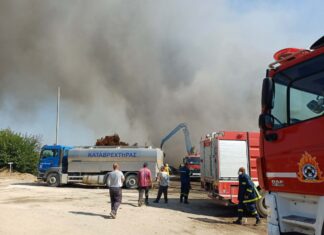 Φωτιά στο Ομορφοχώρι Λάρισας: «Σχεδόν βέβαιος ο εμπρησμός», λέει η δικηγόρος της εταιρείας – ΒΙΝΤΕΟ
