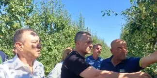 Τύρναβος: Πρωτοφανείς εικόνες καταστροφής μετά τη σφοδρή χαλαζόπτωση – Αυτοψία του ΕΛΓΑ / ΦΩΤΟ